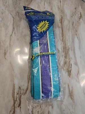 Kit de correas para silla de césped Wellington 80’ X 3” verde azulado y púrpura a rayas nuevo de colección Foto 1 de 4