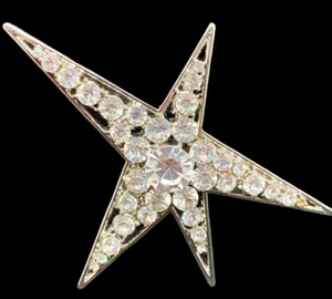 Ariana & Bardo Pin 3 3/4" STAR European CRYSTAL Rhinestone Statement Brooch - Picture 1 of 4