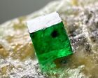 197 ct. Complet terminé extraordinaire !! Top Green Swat émeraude cristal sur matrice