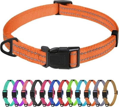 TagME Collare per Cani in Nylon Riflettente, Fibbia Staccabile Durevole, Collari - Immagine 1 di 4