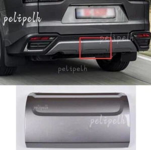 Silver Rear Bumper Trailer Cover Replace Repair For 2022-2023-2024 Lexus LX600 - Picture 1 of 8