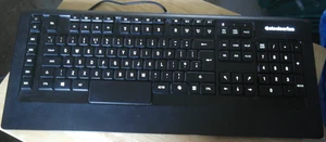 SteelSeries Apex RAW 64121 UK English  QWERTY Gaming Keyboard Macro good cond. - Picture 1 of 12