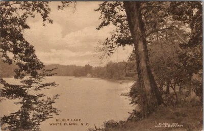 Silver Lake White Plains NY by Wm J Bryan Postcard B26 - Image 1 of 2