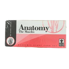Visual Education Academic Study Card Set Vis-Ed Anatomy the Muscles Massage Med.