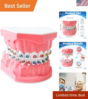 Interactive Dental Typodont - Silicone Teeth with Accurate Brackets for Learning - Image 1 of 4