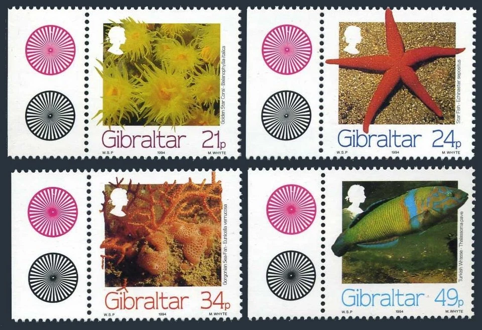 Gibraltar 662-665,MNH.Mi 696-699. Marine Life,1994.Golden star coral,Sea pan, - Image 1 of 1