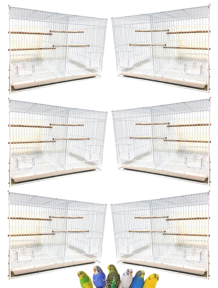 MCAGE Case of 6 Aviary Canary Breeding Flight Bird With Center Divider Cages 24x16x16H