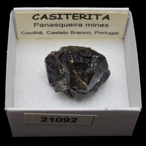 CASITERITA xx (Panasqueira mines, Castelo Branco, Portugal) #21092 / Cassiterite - Picture 1 of 1