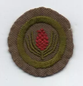 Forestry Merit Badge, Type B Tan Wide Crimped (1934-35), Used - Picture 1 of 2