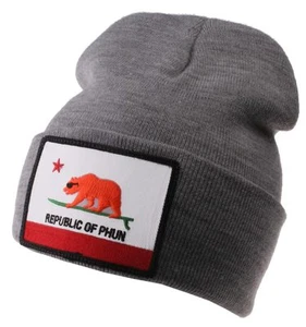 Team Phun Gray Republic Of Phun California Bear Surfing Fold Cuff Knit Beanie NW - Picture 1 of 3