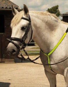 BREASTPLATE YELLOW REFLECTIVE HIGHWAY SAFETY ONE SIZE HORSE PONY  *FREE POSTAGE* - Picture 1 of 3