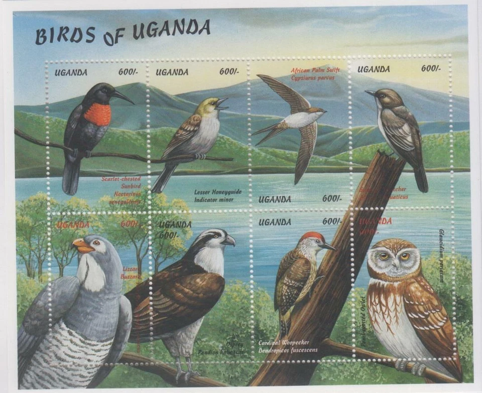 BIRD0100 - BIRDS UGANDA 1999 BIRDS OF UGANDA SHEET   MNH - Image 1 of 1
