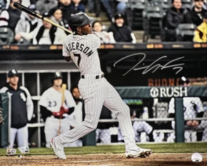 Tim Anderson Autographed Chicago White Sox 16x20 Photo MLB Fanatics 41154 - Picture 1 of 2
