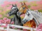 5D Diamond Painting Three Horses by the White Fence Kit