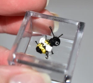 Extremely Micro Bee 0.4" Casa de Muñecas Miniatura Mascota Pequeño Animal Juguete Insecto Regalo - Imagen 1 de 4