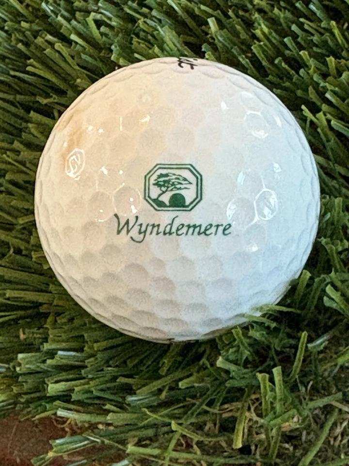Pelota de golf con logotipo de club de golf Wyndemere - Naples Florida FL Foto 1 de 1