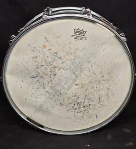 Vintage CB700 International 10-Lug Snare Drum 14" x 5,5" / SN# 711273 - Bild 1 von 9
