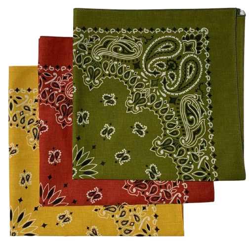 Bandanas paisley feitas nos EUA (pacote com 3) - Várias cores - Imagem 1 de 1