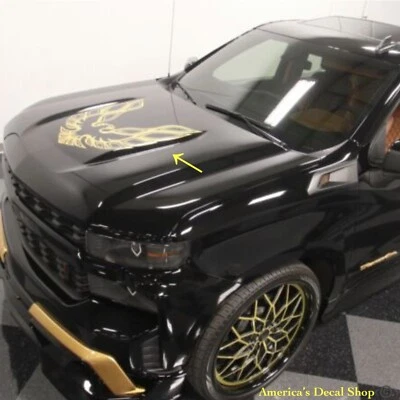 Calcomanía adhesiva capó Firebird camión transmisión automática fabricante de equipos originales nueva 1 pieza se adapta a Pontiac Bandit Foto 1 de 3