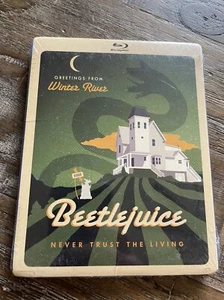 Travel Poster Faceplate---- Tim Burton BEETLEJUICE Blu-ray MICHAEL KEATON 0726 - Picture 1 of 2