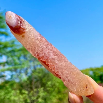 55G Natural Gobi Thousand Eyed Agate Tumble Palmstone Shape Reiki Chakra Healing - Image 1 of 4