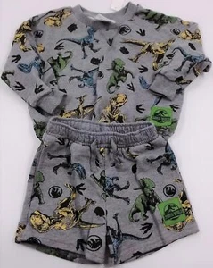 Kids Boys Jurassic World Gray Sweatshirt & Shorts Lounge Set Multiple Sizes - Picture 1 of 2