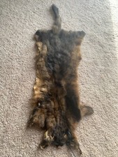 Australian Possum Pelt Id Black
