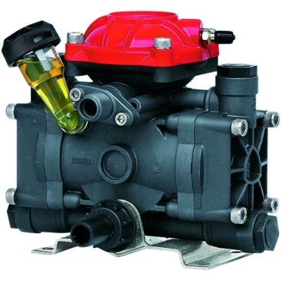Hypro 9910-D252 / AR252-SP Diaphragm Pump - Изображение 1 из 3