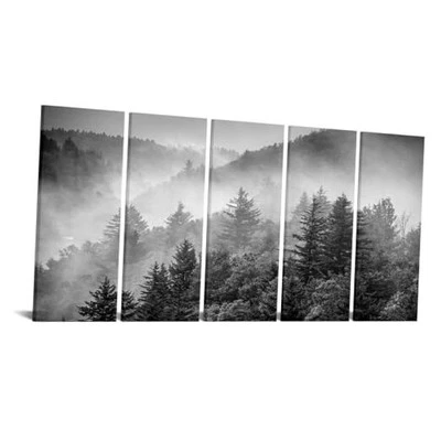  Juego de arte de pared en lienzo X-Large de 5 piezas bosque brumoso blanco y negro y verde perenne  Foto 1 de 4