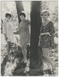 C2533/ The Pearlettes Girlgroup aus Schweden Foto 24 x 18 cm  ca.1968 - Bild 1 von 2