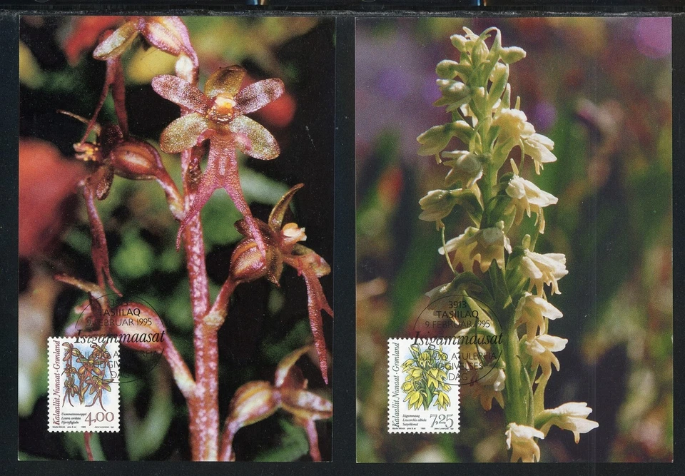 Greenland Scott #279//282 POSTCARDS Orchids Plants FLORA $$ Foto 1 de 1