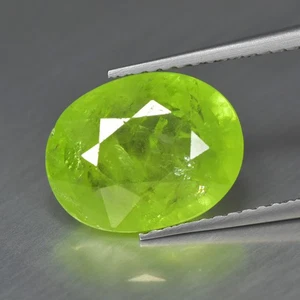 4.20Ct Oval_Splendid Transparent Unheated Yellowish Green Grossular Mali Garnet - Picture 1 of 1
