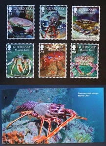 Guernsey Briefmarken: "Marine Life II - Krebstiere" postfrisch Präsentationspaket 2014 - Bild 1 von 6
