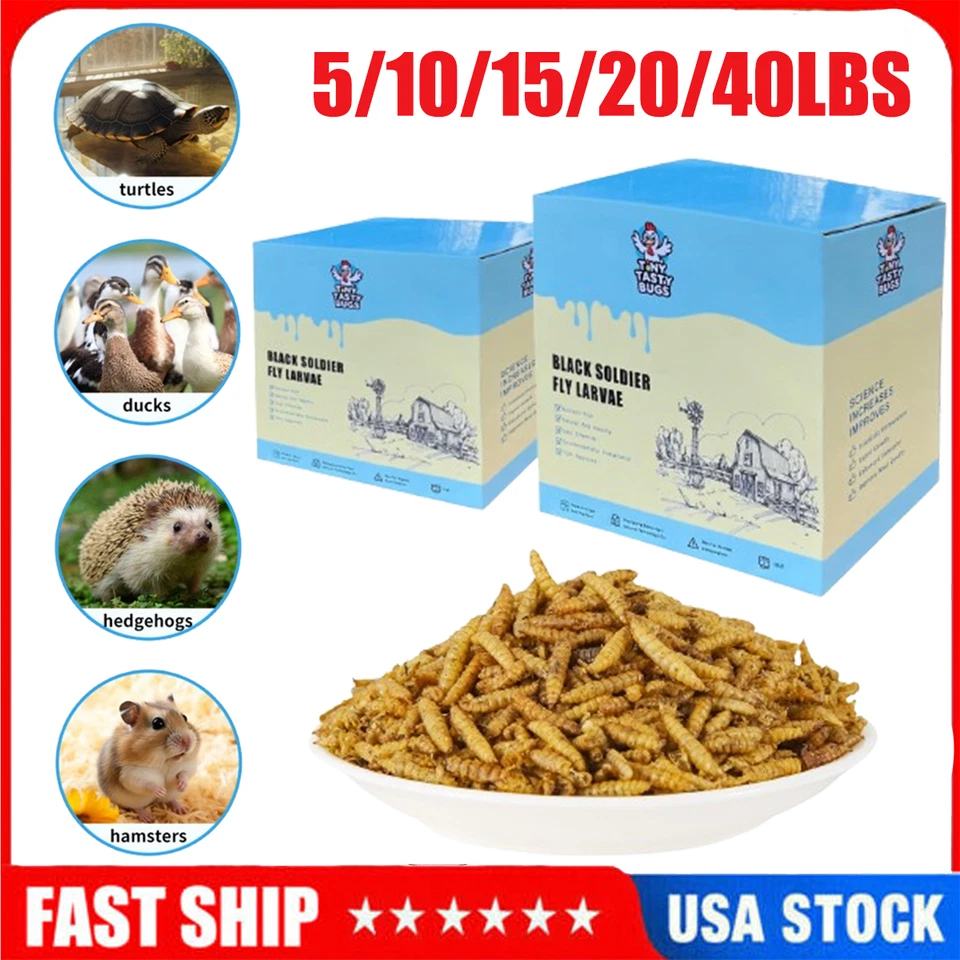 Larvas de mosca soldado negro seco de 5-40 lb gusanos de harina para pollos pájaros golosinas no transgénicas Foto 1 de 4