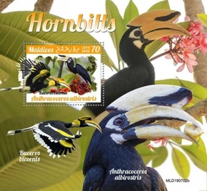 HORNBILLS 1-Value MNH Bird/Birds Stamp Sheet #351 (2019 Maldives) - Picture 1 of 1
