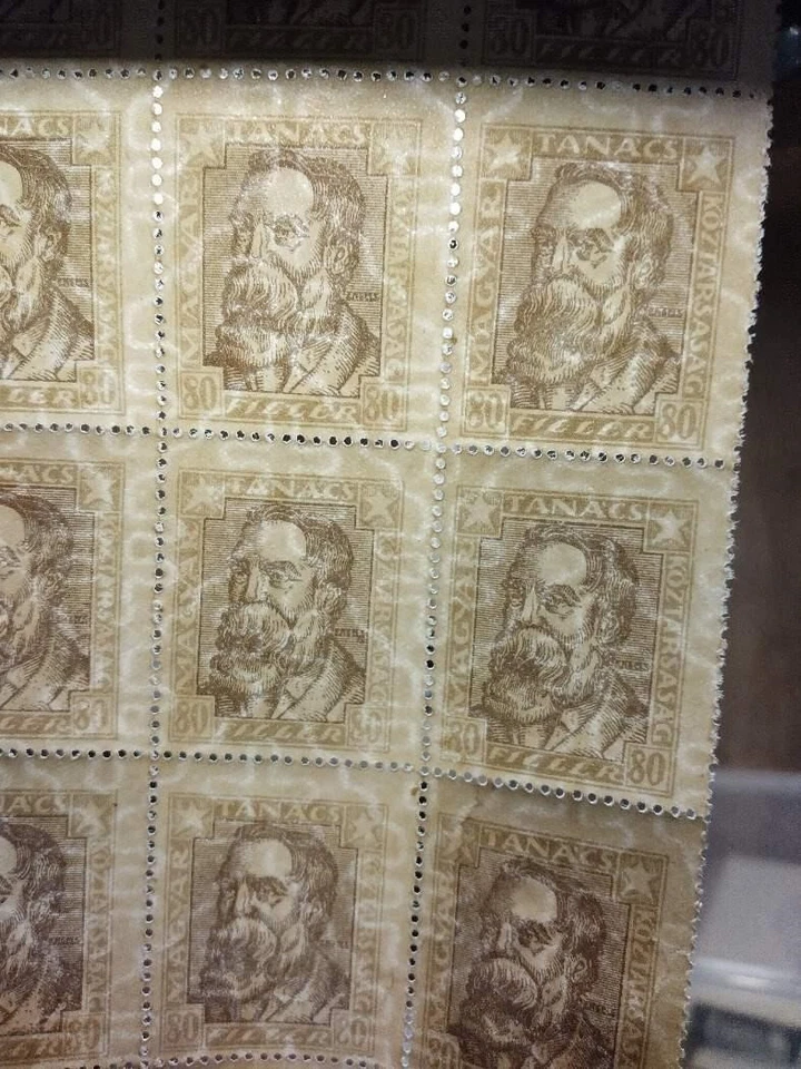 Hungary 1919 Revolutionar Engels Block of 12,  WM vertical MNH VF (45 -212) - Image 1 of 4