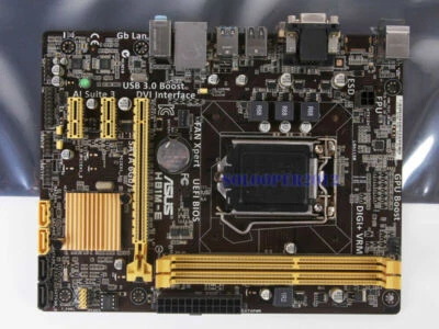 Asus H81M-E Socket 1150 scheda madre Intel H81 DDR3 uATX SATA 6Gb/s USB 3.1 DVI - Immagine 1 di 4