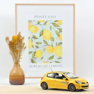RENAULT CLIO RS F1 TEAM 2007 SCALA 1:18 NOREV - Foto 1 di 1