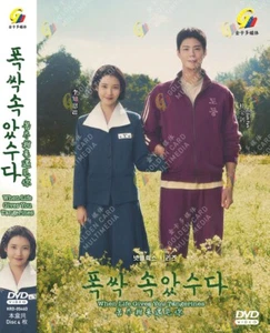 DVD KOREANISCHES DRAMA WENN DAS LEBEN DIR MANDARINEN SCHENKT BAND 1-16 ENDE ENGLISCH DUBBED - Bild 1 von 7