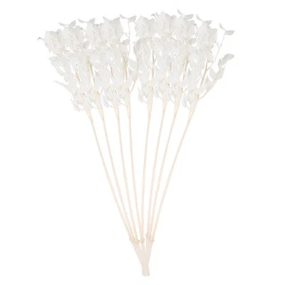 2X(45Cm Getrocknete, für Immer Konservierte Ruscus Blumen, DIY Blumen Dekor6271 - Bild 1 von 4