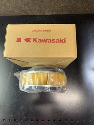 NUEVO ELEMENTO FILTRO AIRE KAWASAKI GENUINO 2003-2008 VULCAN 1600 CLASSIC NOMAD Foto 1 de 4