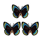 Blaugrün, schwarz, gelb Schmetterling (3er-Pack) Aufbügeln Aufnäher
