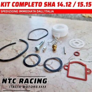Kit Revisione COMPLETO DELLORTO SHA 14.12 15.15 spillo getto gaurnizioni molla- - Foto 1 di 10