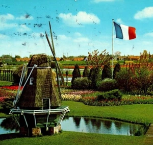 Small Windmill Near Stream Tulips Bloemenland Molenland Holland Vintage Postcard - Picture 1 of 5
