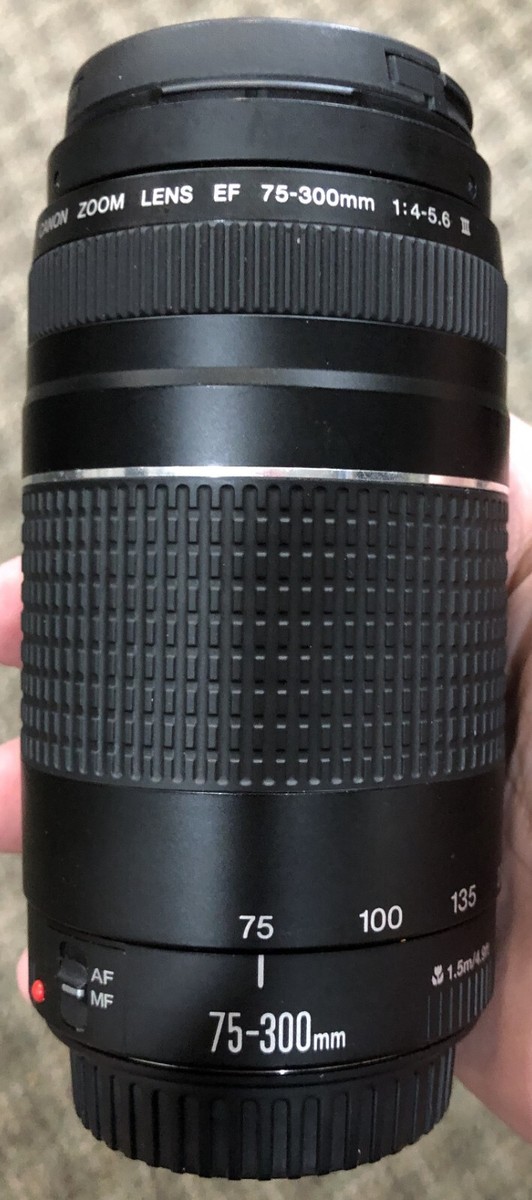Canon EOS 75-300mm Camera Lenses for sale | eBay Canon EOS 75-300mm Camera Lenses for sale | eBay