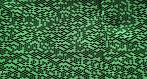 KATIE MILLER FOR Connecting Threads WRAP IT UP GREEN Fabric Size W 34" X 1 yd.8" - Picture 1 of 4
