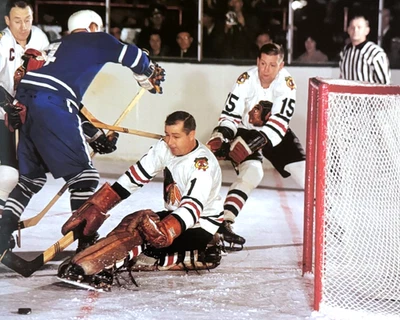 Glenn Hall Pierre Pilote Eric Nesterenko Chicago Blackhawks 8x10 COLOR AÑOS 60 NHL Foto 1 de 4