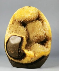 SFERA GEODE lucidata DRAGON SEPTARIAN calcite Standup Madagascar - Foto 1 di 12