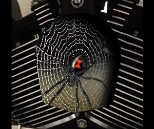 Harley Davidson Custom Horn cover Touring Dyna Softail Sportster M8 SPIDER - Picture 1 of 1