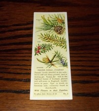 TYPHOO TEA CARD ODDS VARIOUS ISSUES - SELECT INDIVIDUAL CARD